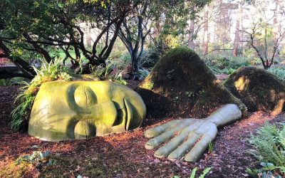 2018-01-30 – The Moss Lady, Beacon Hill Park