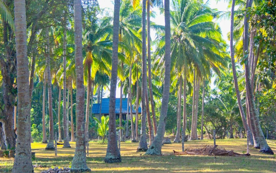 20030216-084112-1440-t