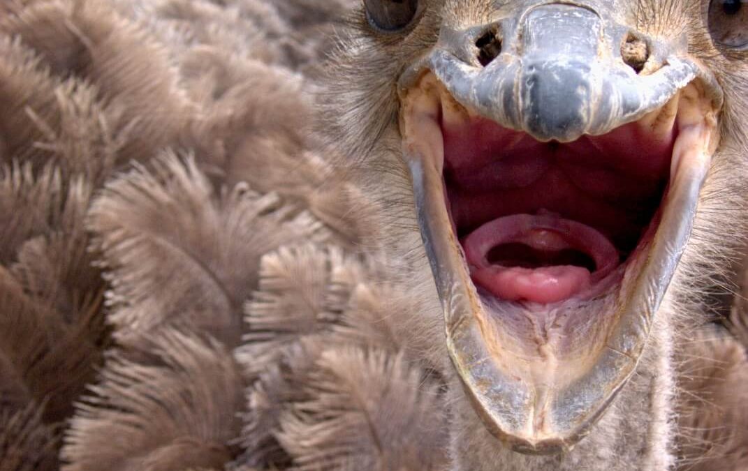 20070930-154052-1440-t