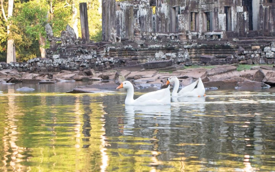 20101225-171713-1440-t