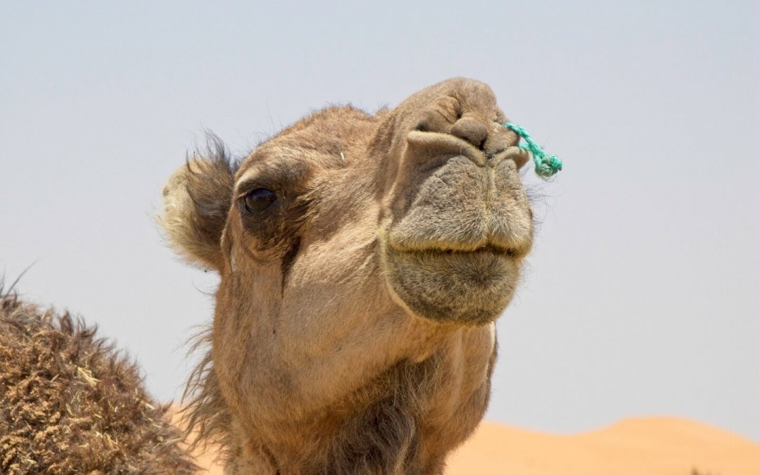 20110516-054906-1440-t