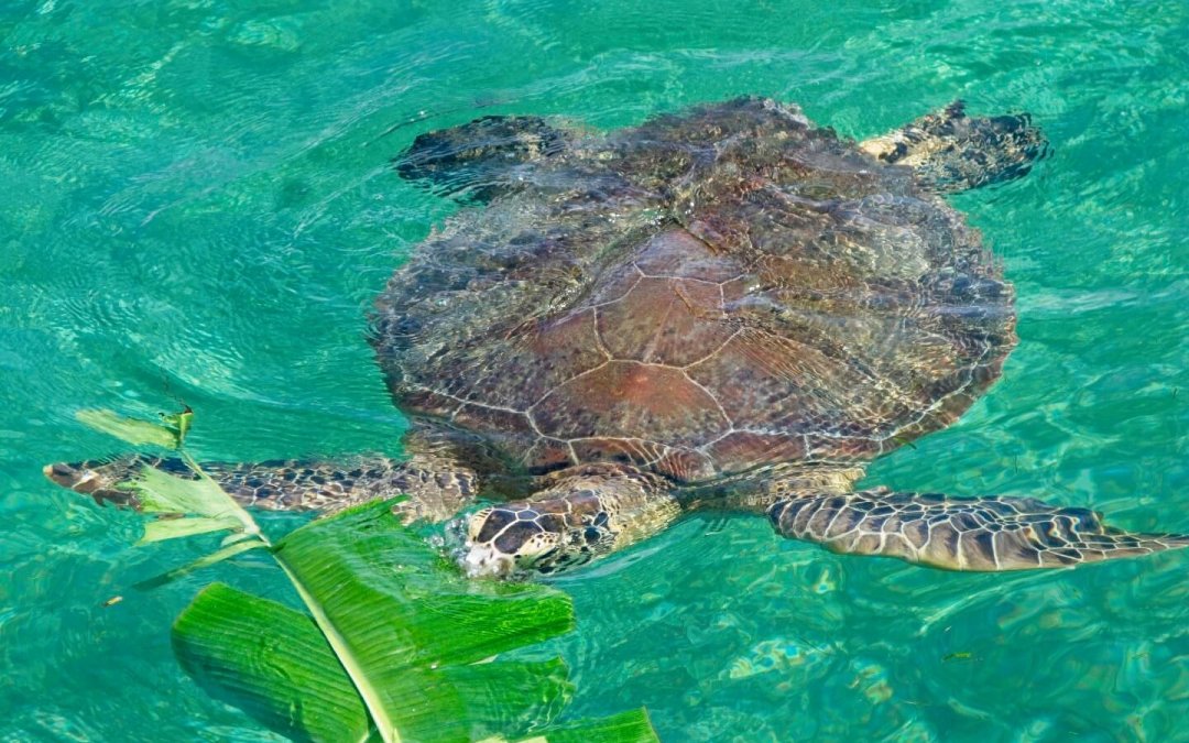 20130201-200715-1440-t