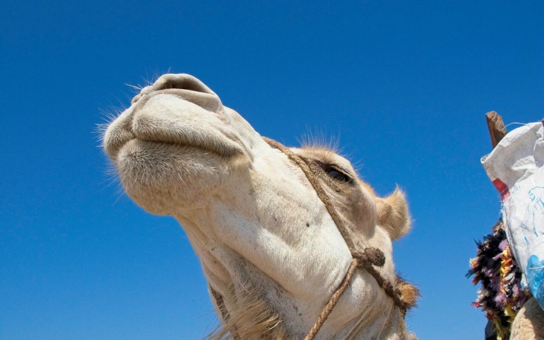 20150526-105527-1440-t