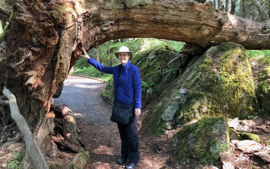 20180502-111241-1440-t