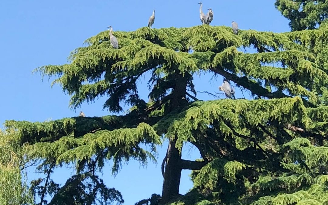 20180706-145506-1440-t