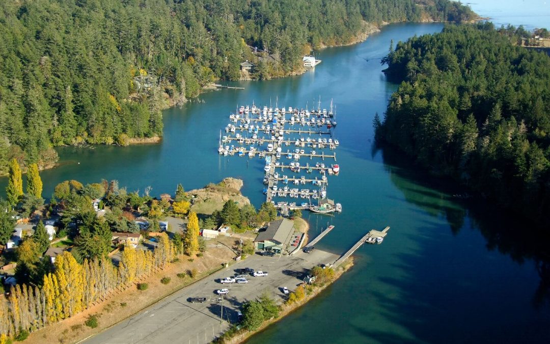 20190318-081901-1440-t