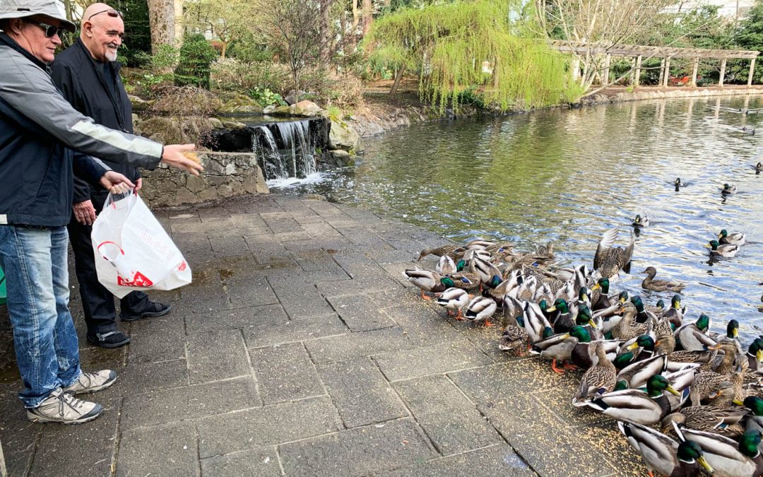 20190404-093808-1440-t