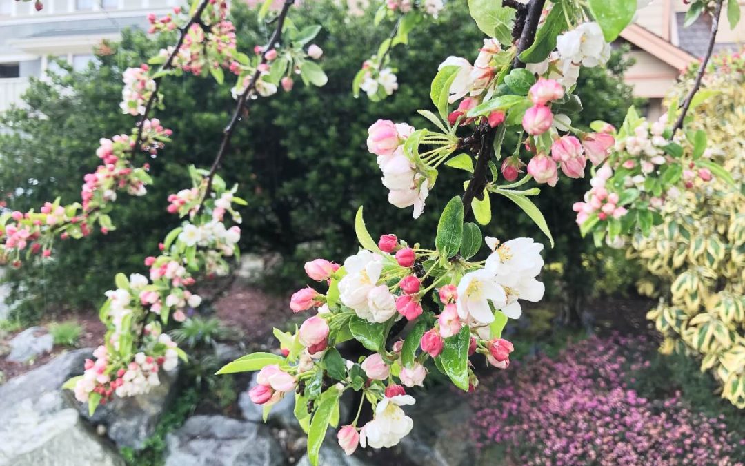 20190418-090217-1440-t